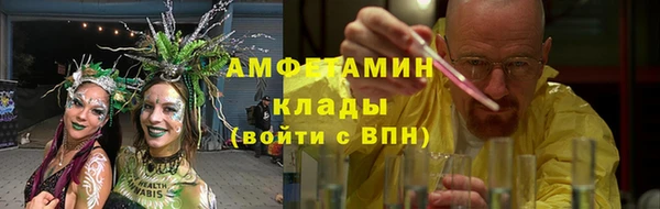 индика Михайловск