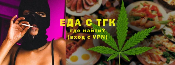 индика Михайловск