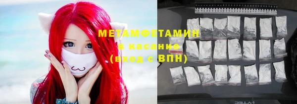 индика Михайловск