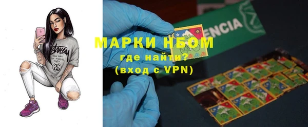 индика Михайловск
