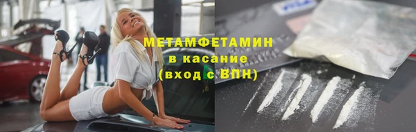 индика Михайловск