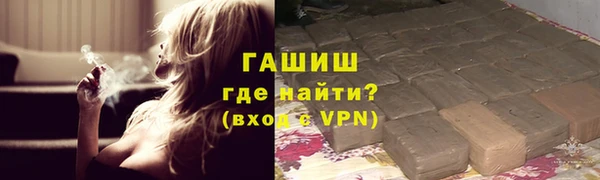 индика Михайловск
