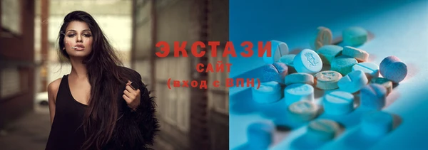 индика Михайловск