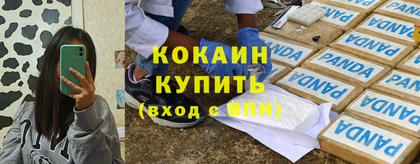 индика Михайловск