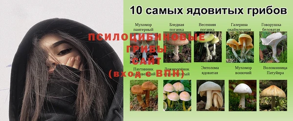 ALPHA-PVP Михайлов
