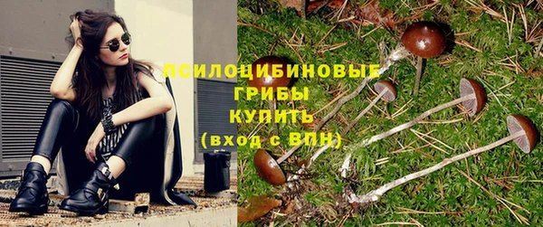 прущий лед Михайловка