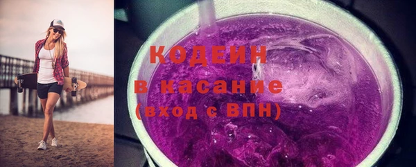 индика Михайловск