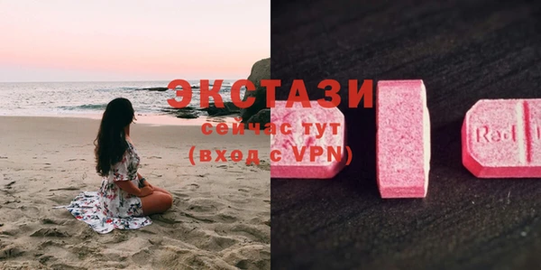 индика Михайловск