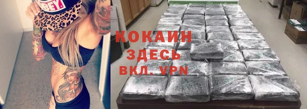индика Михайловск